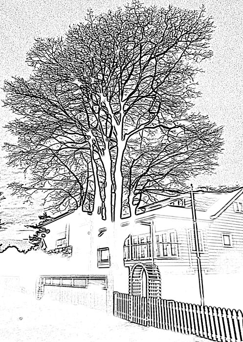 cbeachtree-pcopy-web