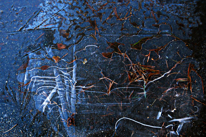 frozenpuddle-1-soft-web