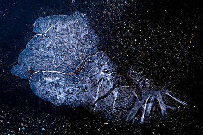 frozenpuddle-2-galaxy-web