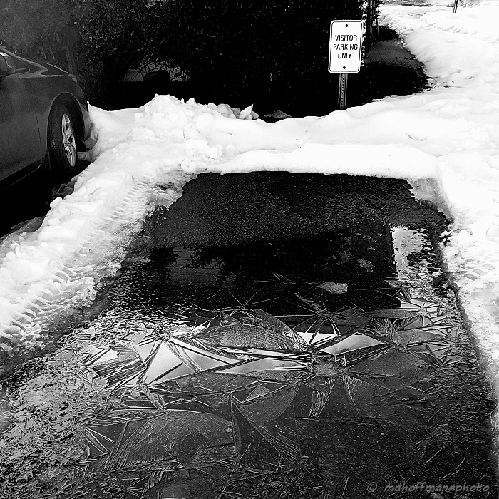 iceparking-web-wm