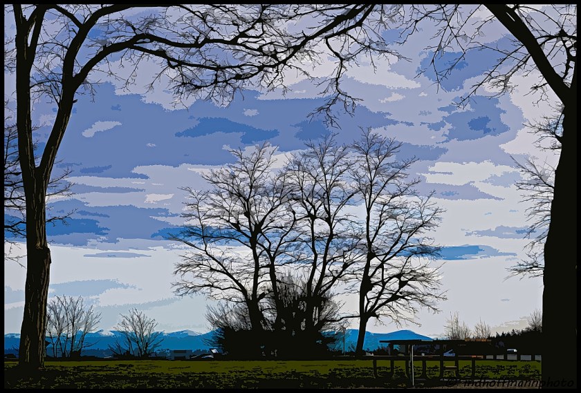 p1000568-1-cutoutb-1