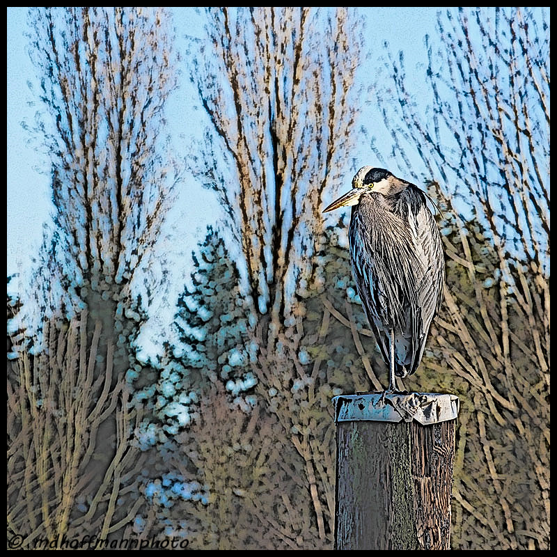 p1000661-1-pc-web-wmk