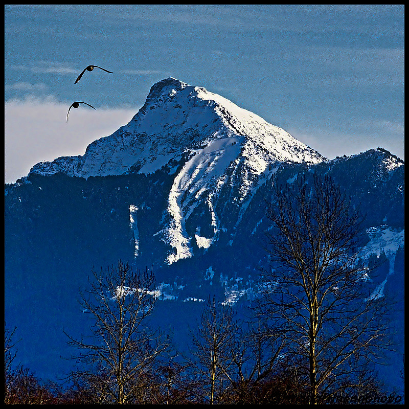 flight-over-cheam-web