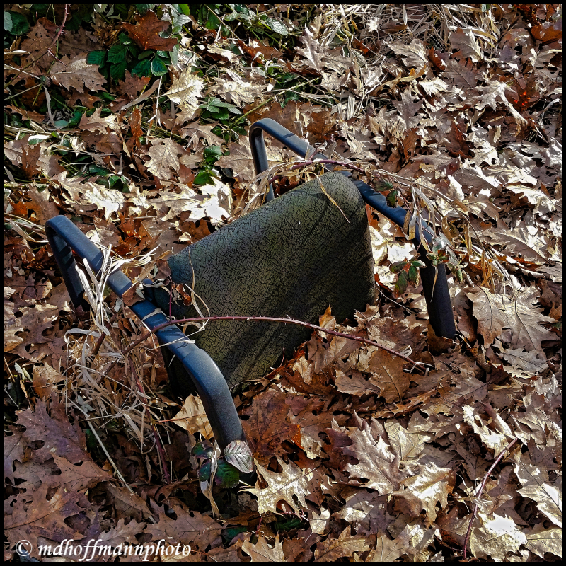 Chair In Leaves-1