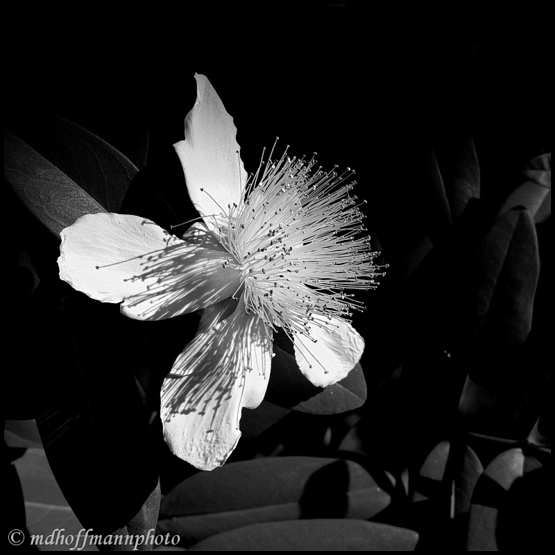 20170629_190340-web-1