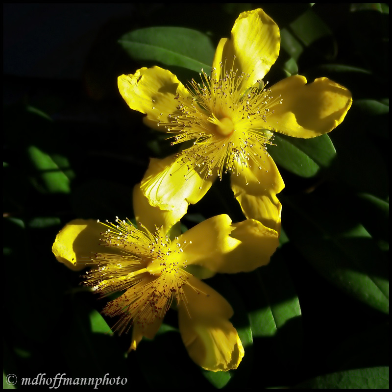 20170629_190428-web-soft