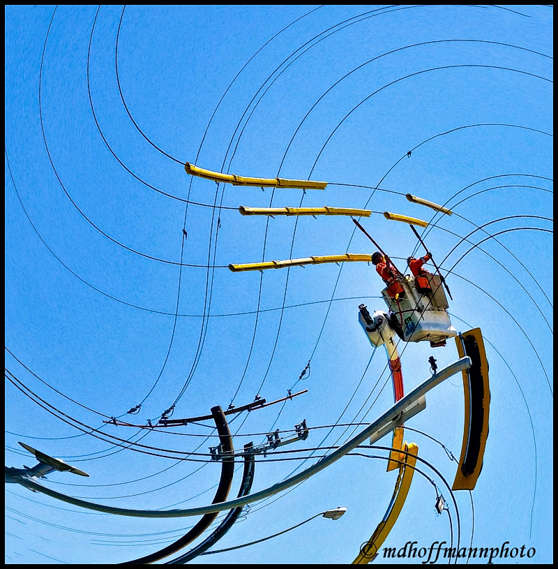 20170630_134227-Wild-web