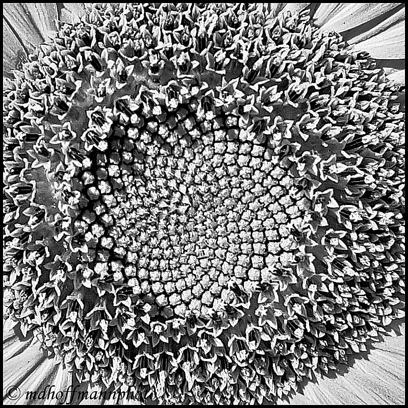 20170827_174124-BW-1