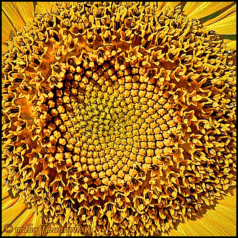 20170827_174124-Sharp-1