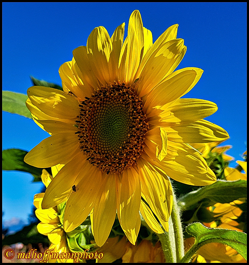 20170827_174139-best-1