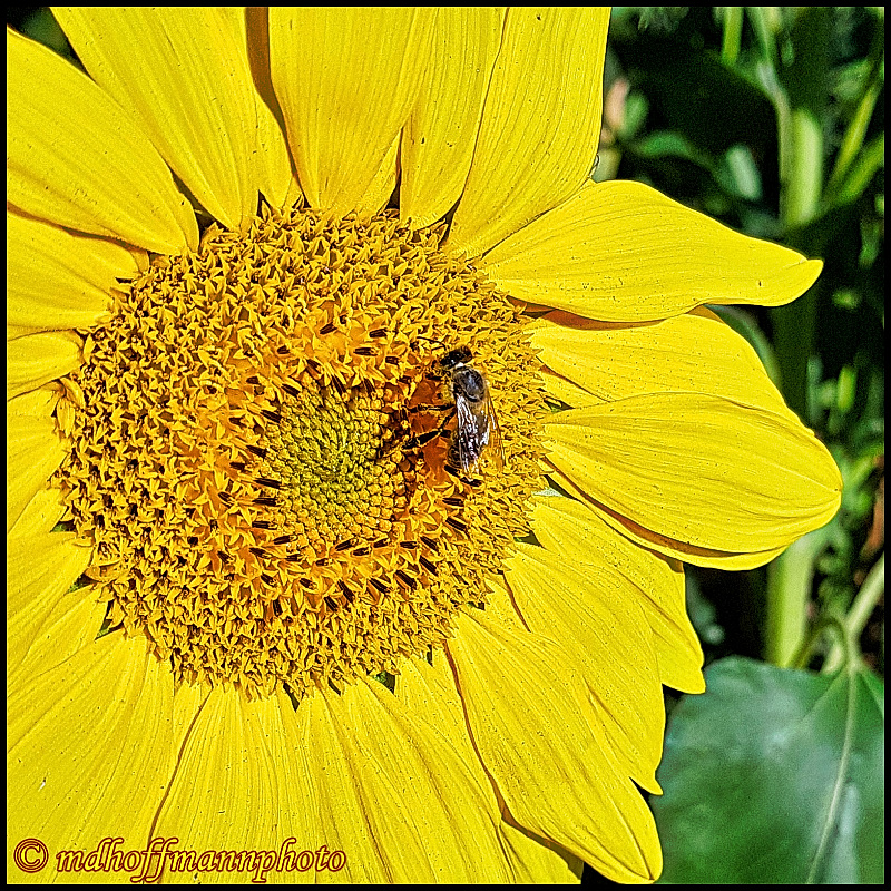 20170827_174311-best-1