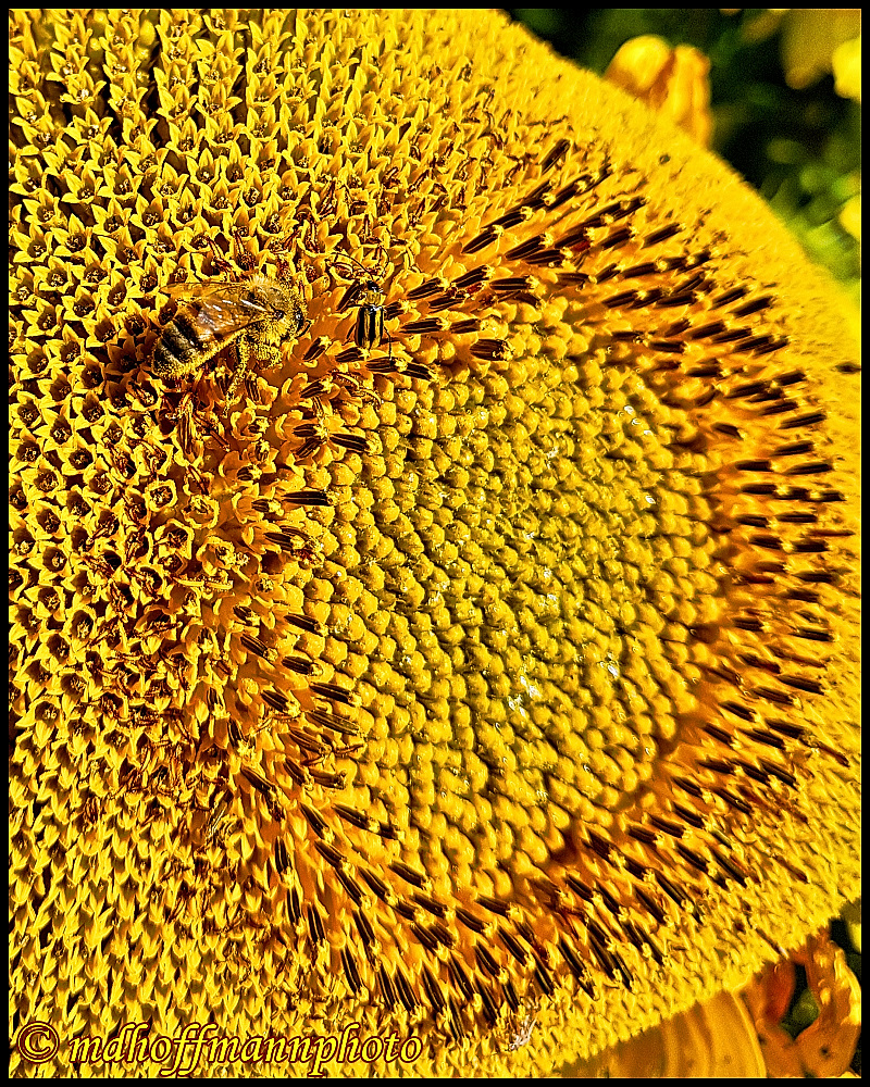 20170827_174607-best-1