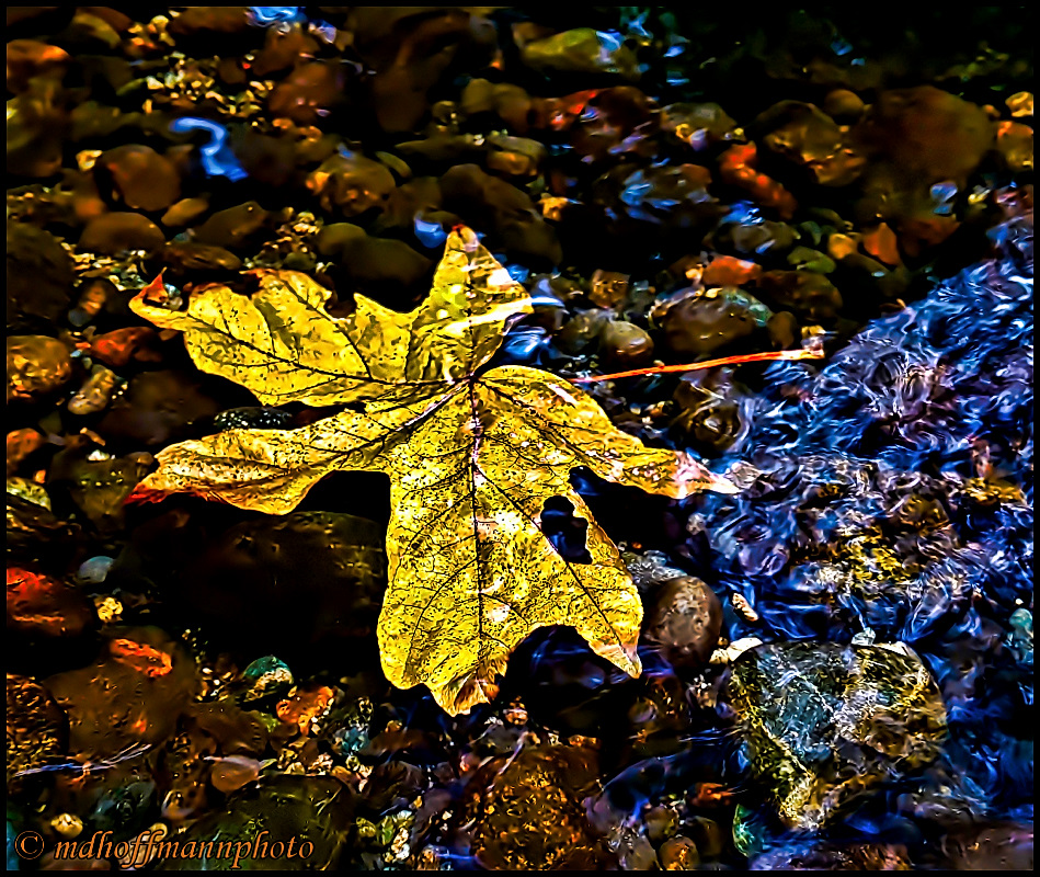 20170925_112752-sharp-04-web