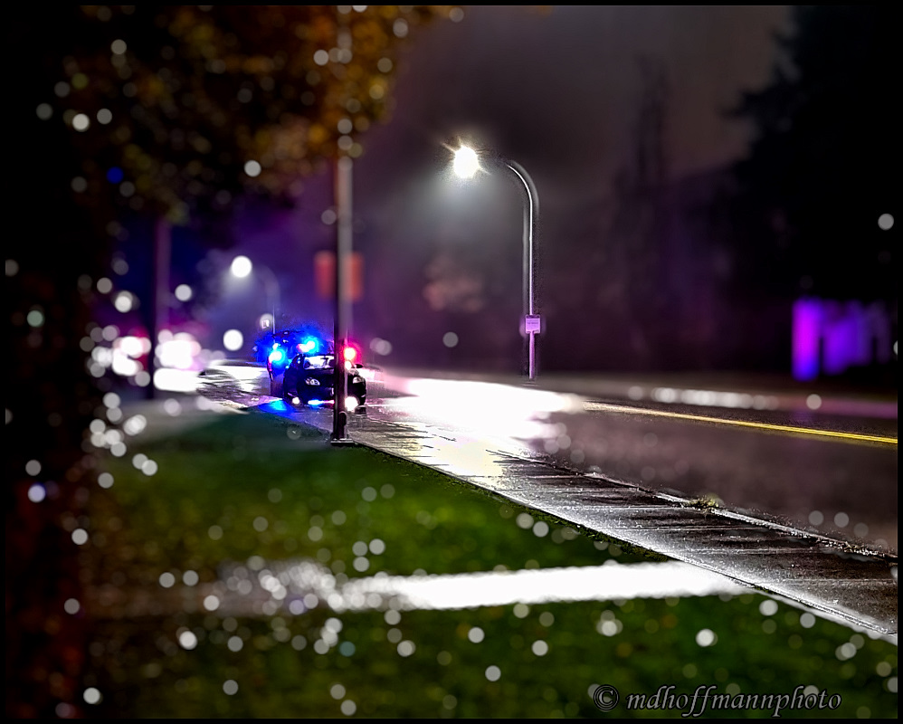 20171016_200515-soft-web