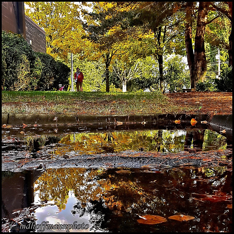 20171020_162912-b-NR-web