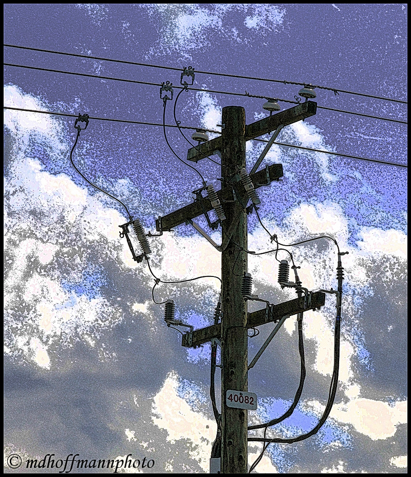 P1030190-Backlit-web