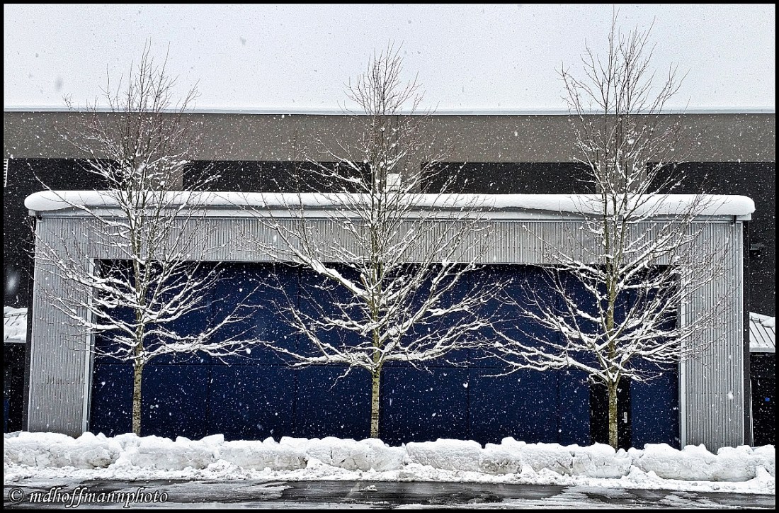 20170205_120658-web-wmk