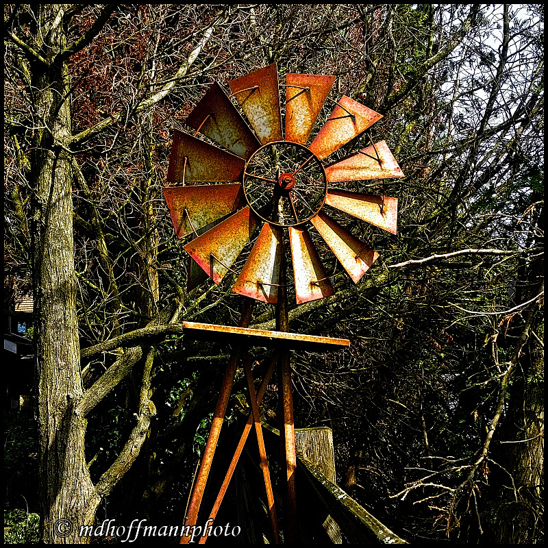 20170411_135611-Original-web