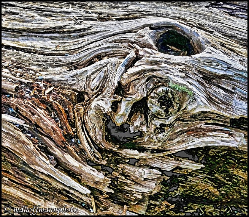 20170411_142216-pencildrawing-web