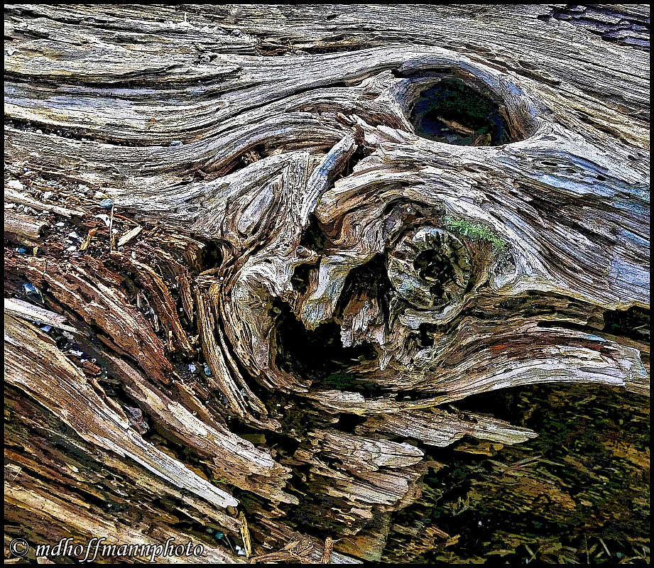 20170411_142216-Poster-web