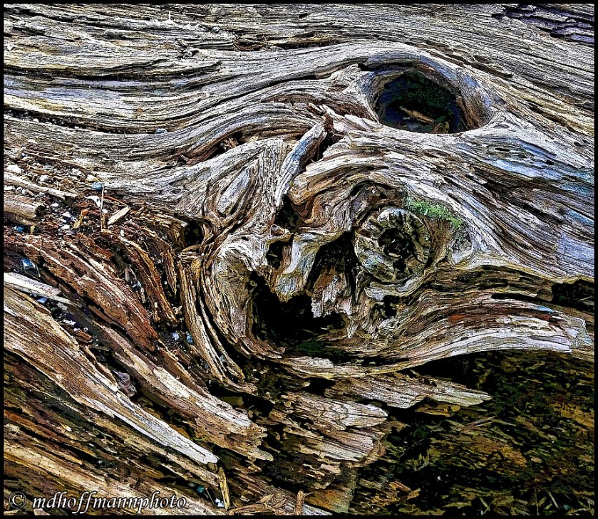 20170411_142216-Poster-web