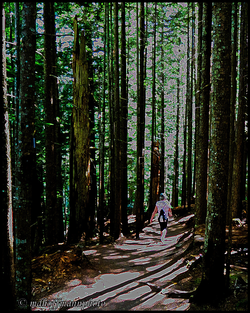 Forest Walk(1)-Poster-web