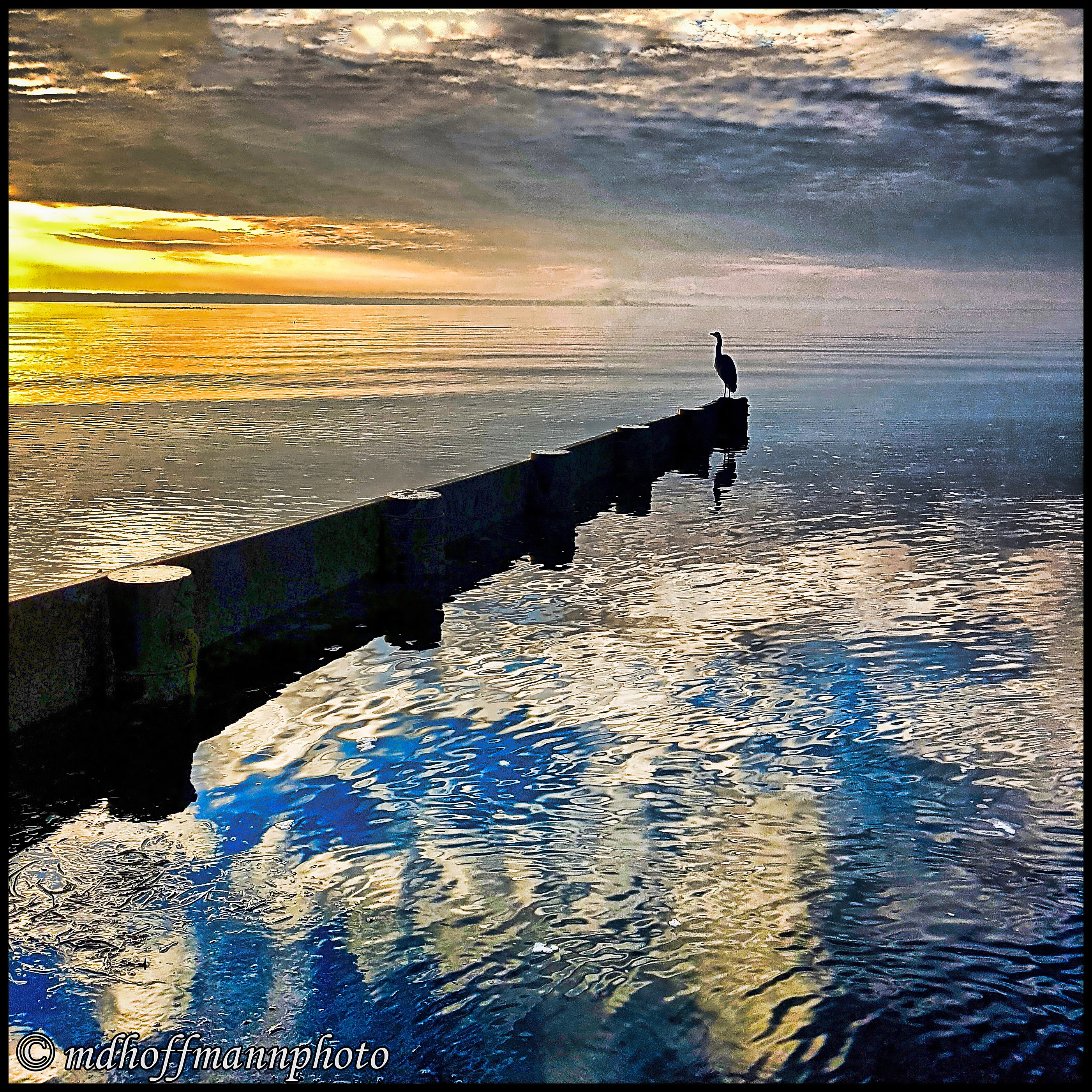 20171210_151514-Colour-web