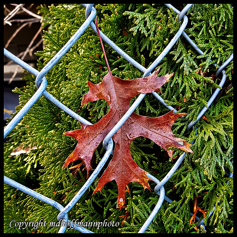 20180110_105247-1-web