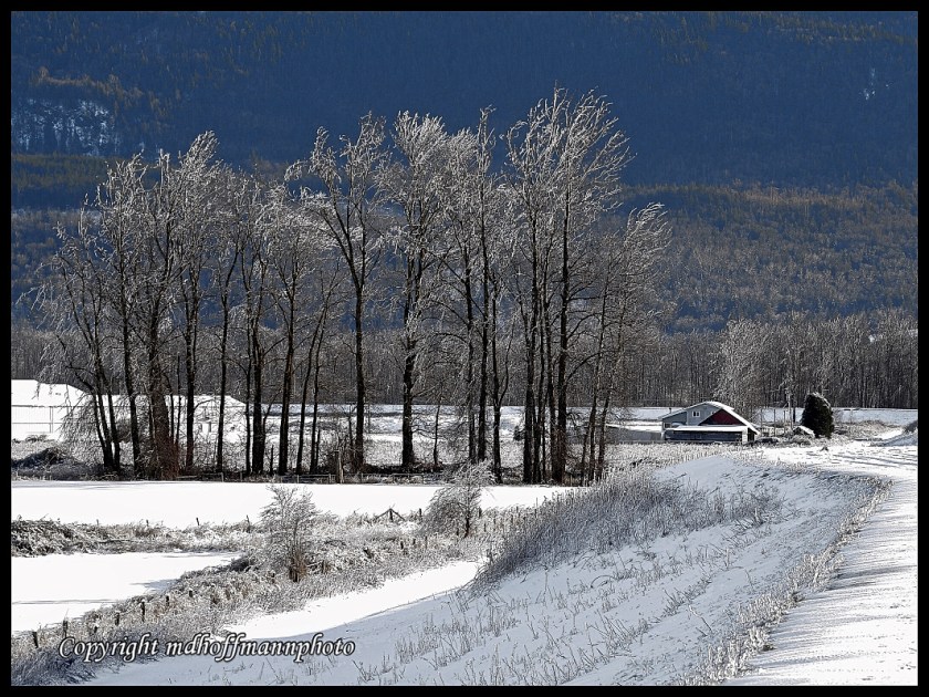 P1050721-1 ColourHint-1-web