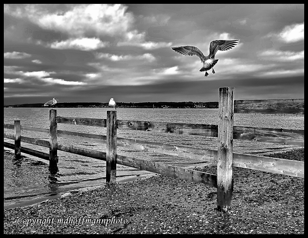 20180209_122616-Print-BW-web