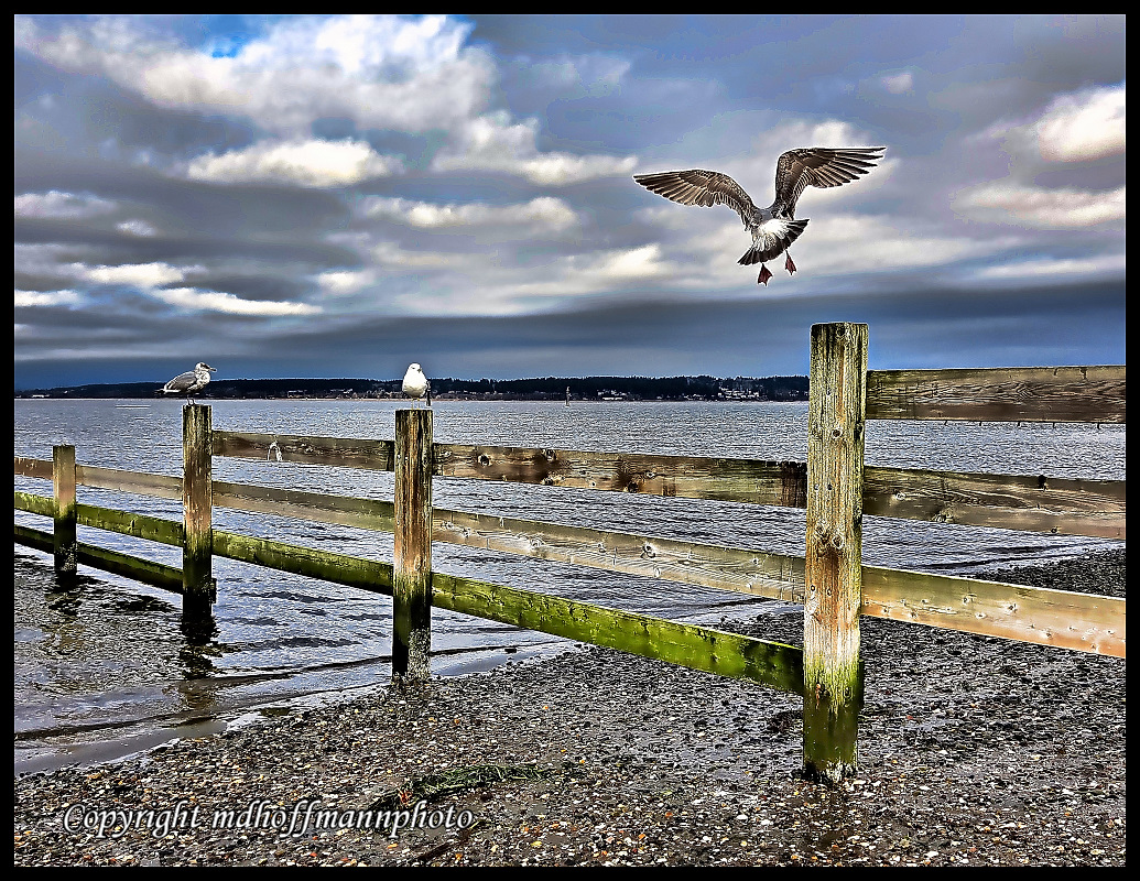 20180209_122616-Print -web