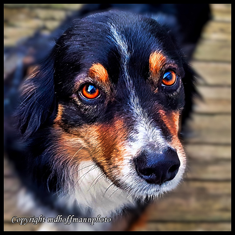 20180306_180121-3-web