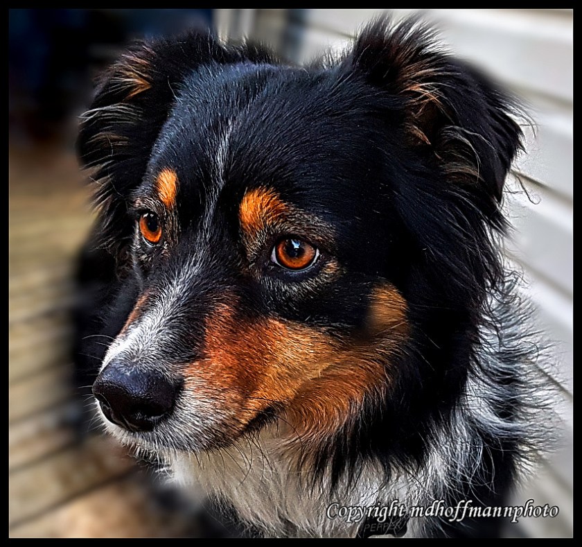 20180306_180153-3-web