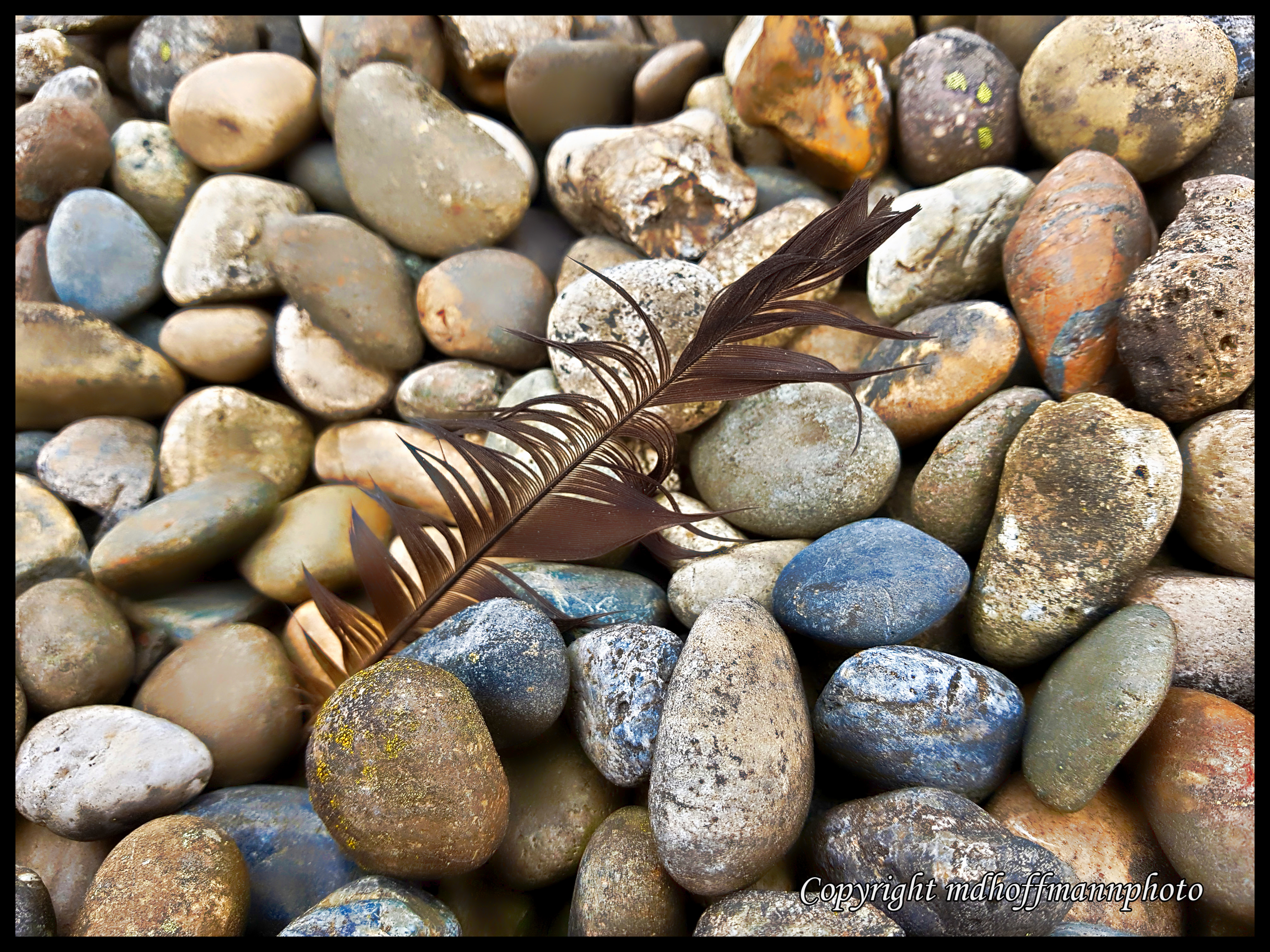 Feather Stones-1-wm
