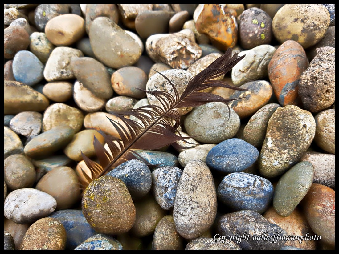 Feather Stones-1-wm