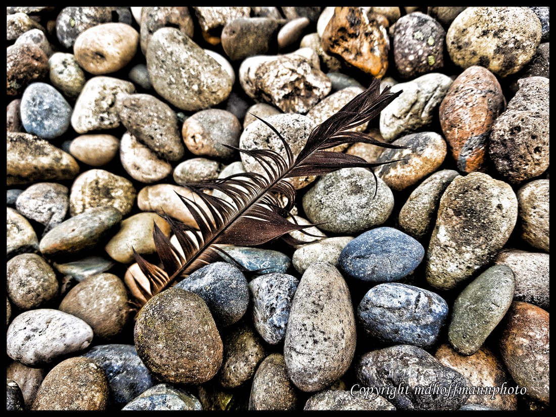 Feather Stones-2-wm