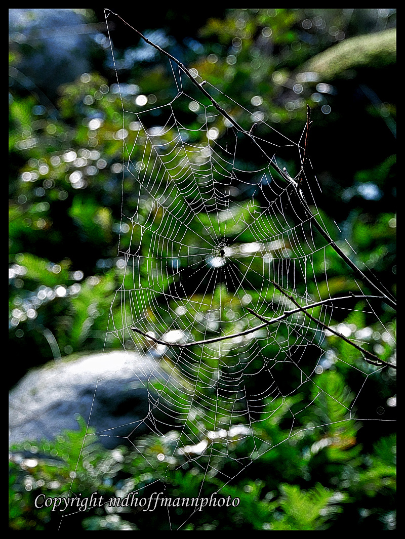 P1090253-web